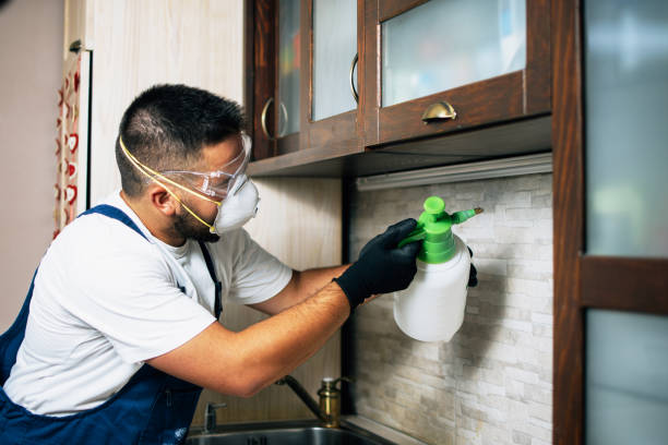Best Pest Inspection Near Me  in Ke Arthur, LA