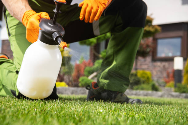 Best Pest Prevention Services  in Ke Arthur, LA