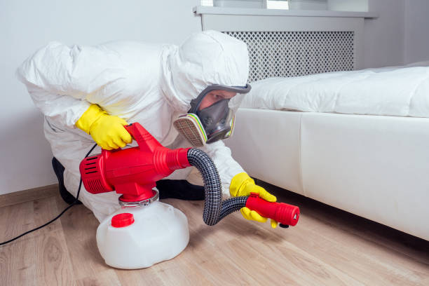 Best Affordable Pest Control Services  in Ke Arthur, LA