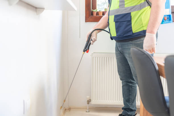 Best Pest Removal Services  in Ke Arthur, LA