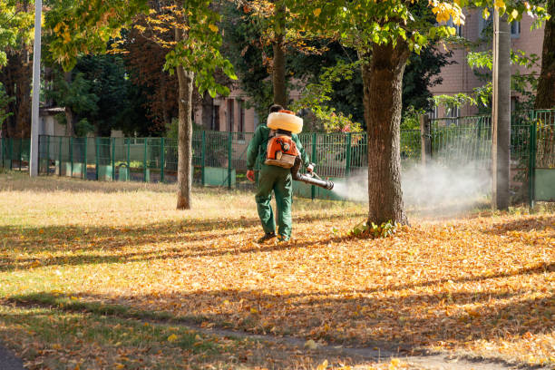 Best Termite Control Services  in Ke Arthur, LA