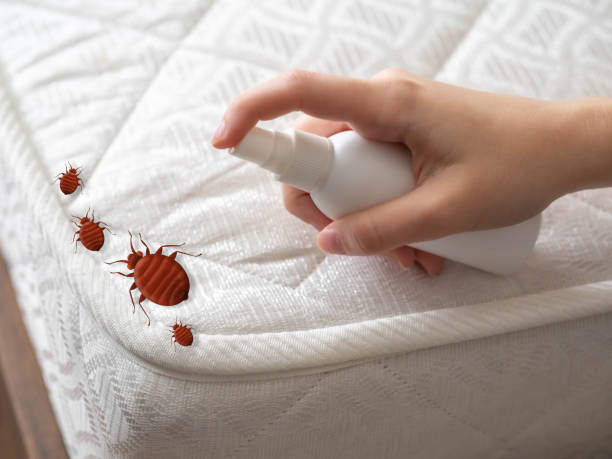 Best Bed Bug Extermination  in Ke Arthur, LA