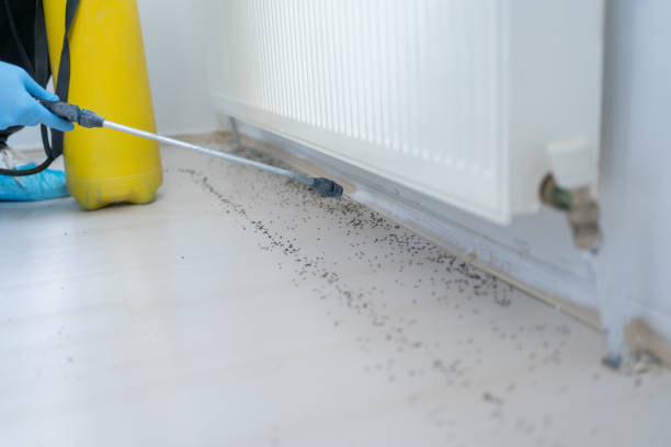 Best Cockroach Control Services  in Ke Arthur, LA