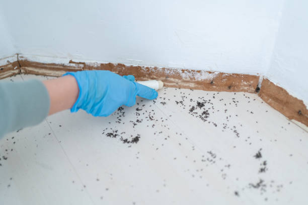 Best Best Pest Control Companies  in Ke Arthur, LA