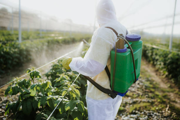Best Ant Control Services  in Ke Arthur, LA